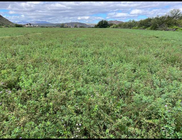 338HA FARM FOR SALE IN LADISMITH RURAL